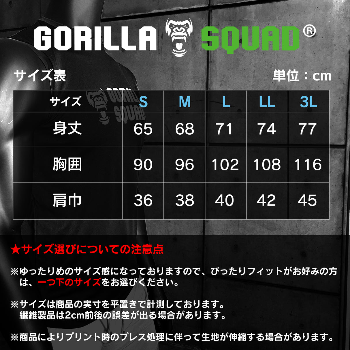 吸汗速乾ドライノースリーブ(ロゴ大)