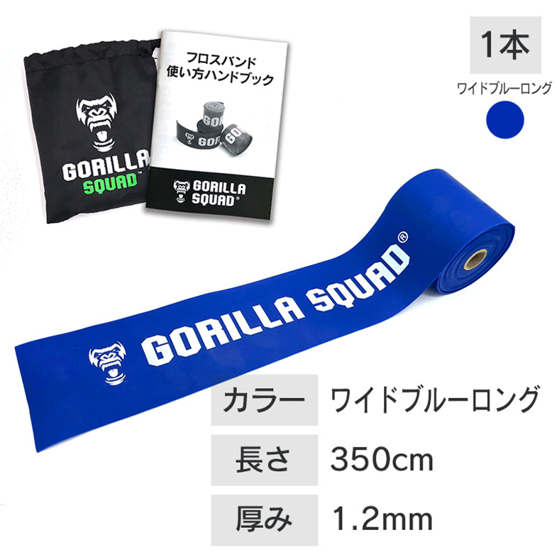 フロスバンド(キャリーバッグ&取扱説明書付)