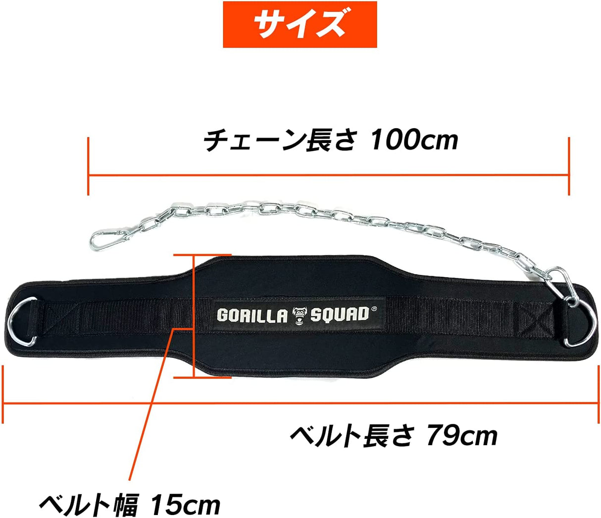 ディップスベルト