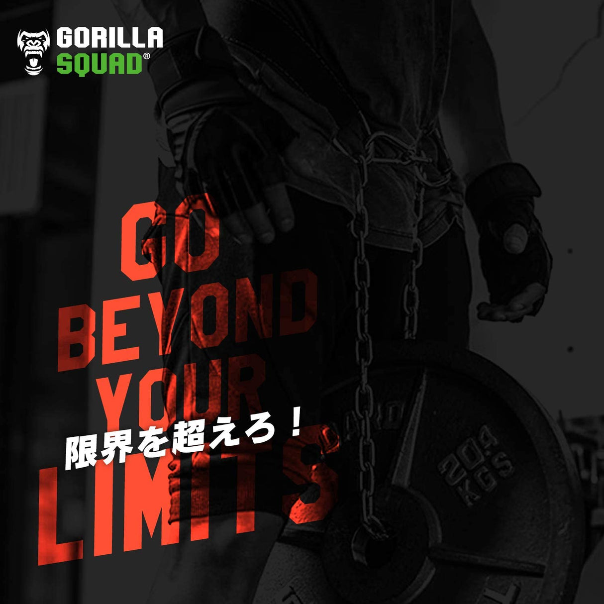 ディップスベルト