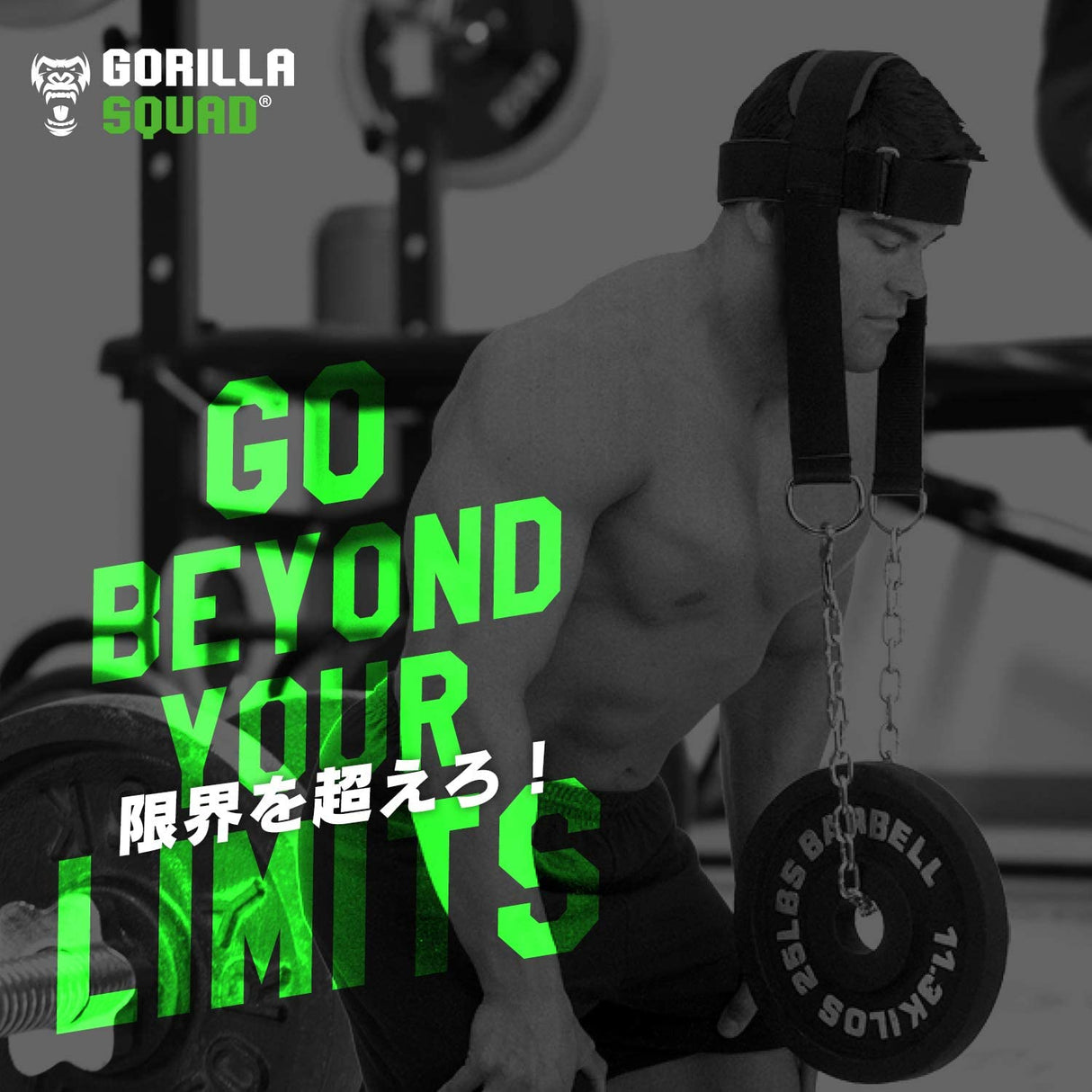 ヘッドハーネス