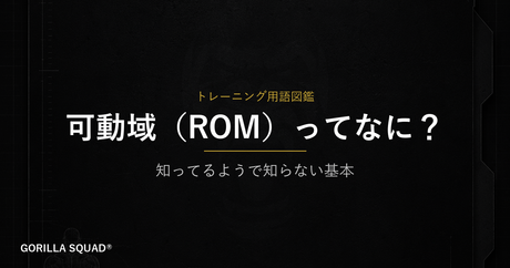 可動域（ROM）とは？筋肥大に直結する基本知識をトレーナーが解説