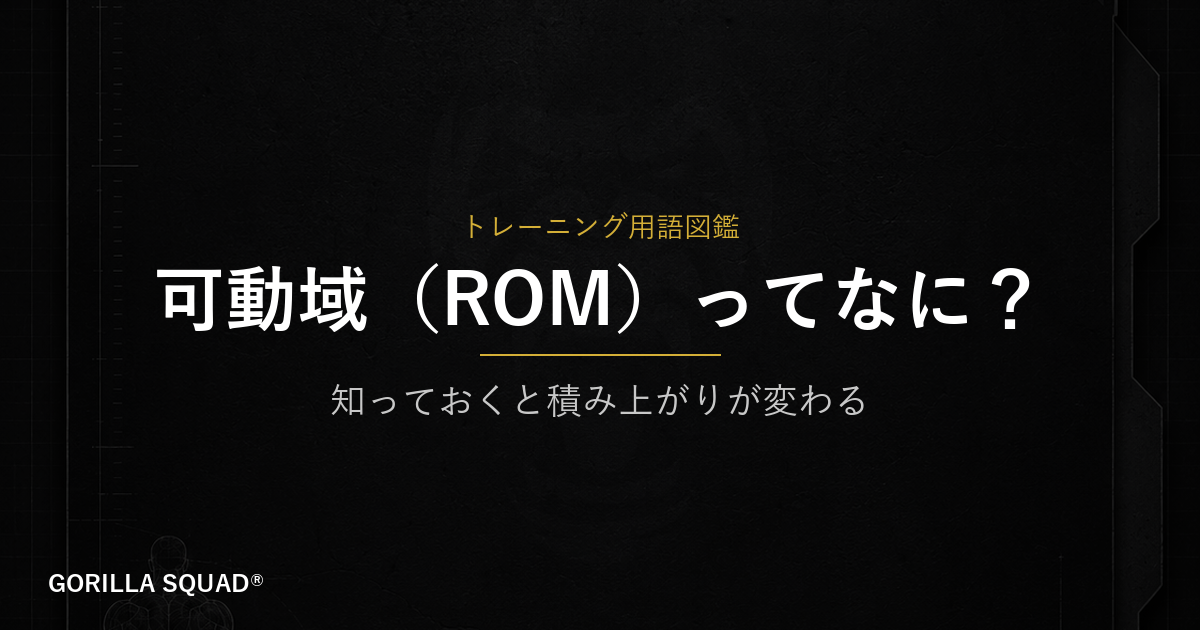 可動域（ROM）とは？重量より先に確認すべき筋トレの基礎をトレーナーが解説