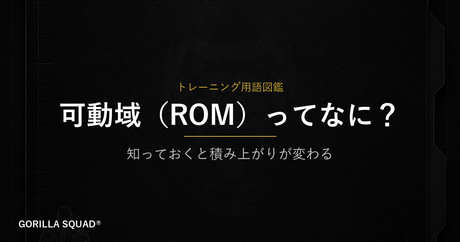 可動域（ROM）とは？重量より先に確認すべき筋トレの基礎をトレーナーが解説