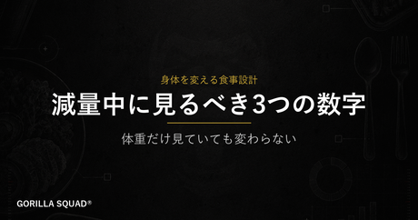 減量中に管理すべき3つの数字：摂取カロリー・たんぱく質量・週平均体重を正しく見る方法