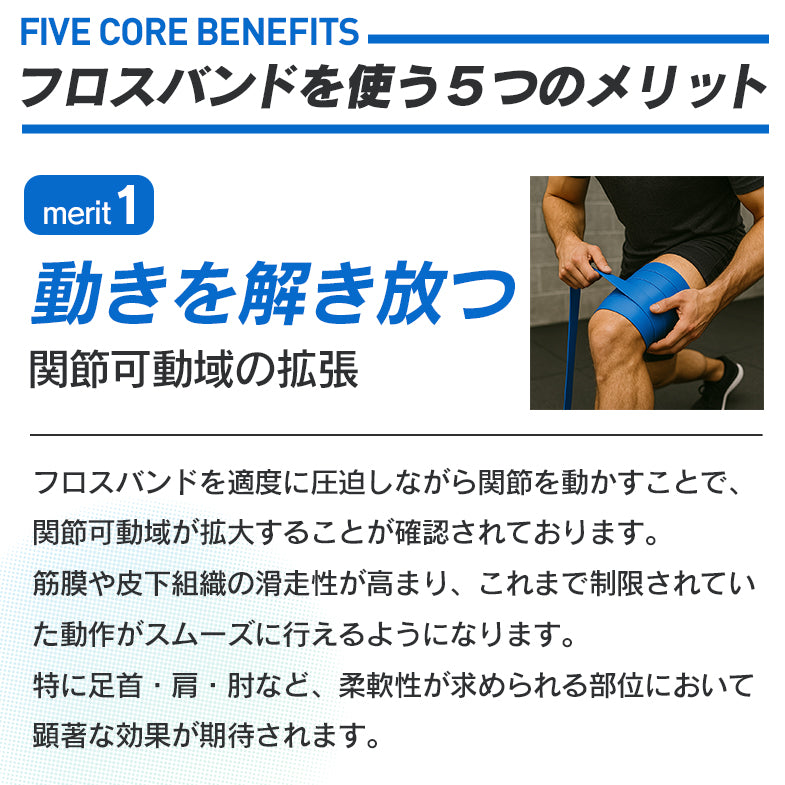 フロスバンド（キャリーバッグ&取扱説明書付）