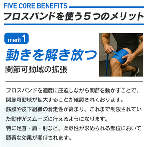 フロスバンド（キャリーバッグ&取扱説明書付）